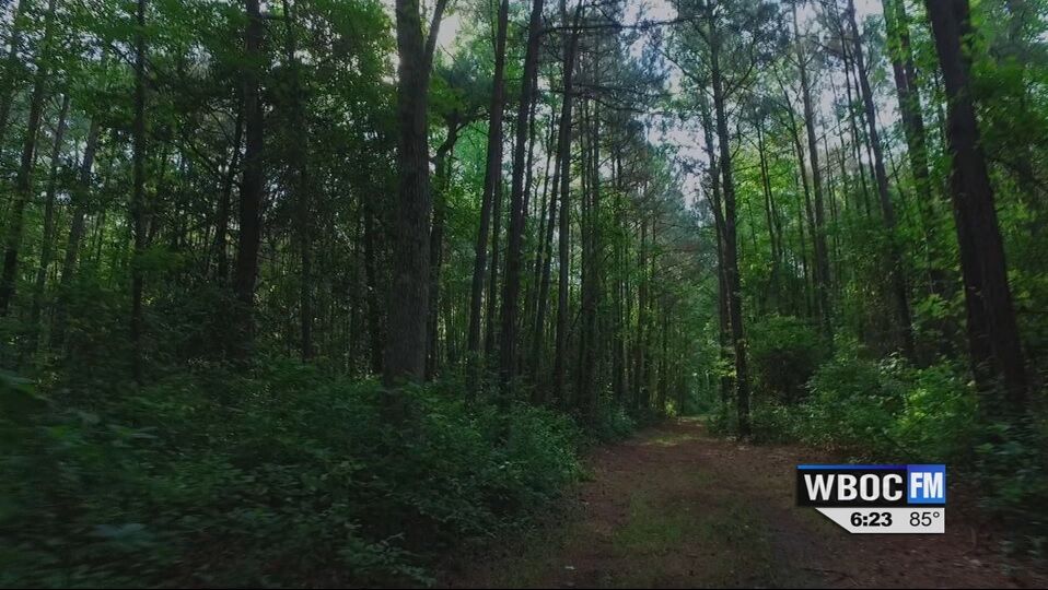 Travels With Charlie And There in the Forest, A Battle Raged